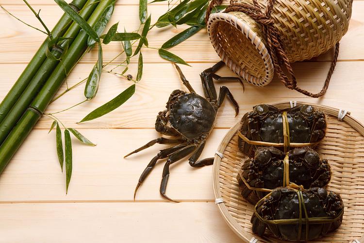 静物螃蟹图片